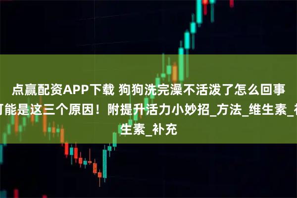 点赢配资APP下载 狗狗洗完澡不活泼了怎么回事？可能是这三个原因！附提升活力小妙招_方法_维生素_补充
