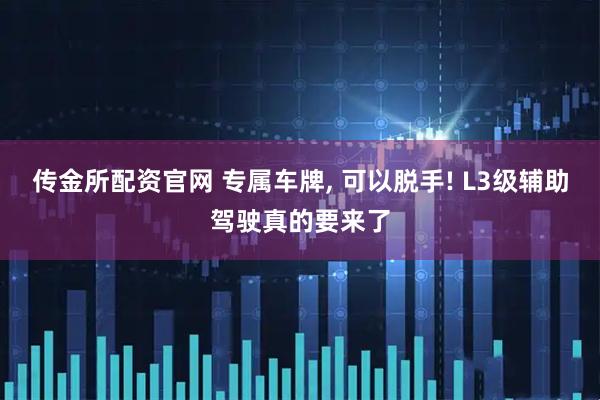 传金所配资官网 专属车牌, 可以脱手! L3级辅助驾驶真的要来了