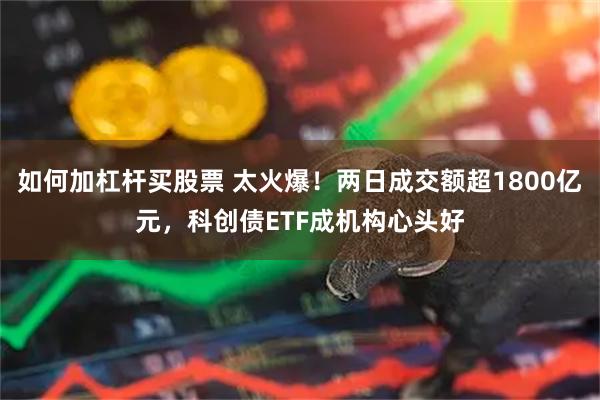 如何加杠杆买股票 太火爆！两日成交额超1800亿元，科创债ETF成机构心头好