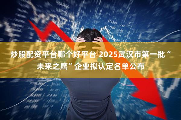 炒股配资平台哪个好平台 2025武汉市第一批“未来之鹰”企业拟认定名单公布
